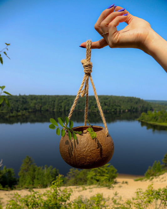 Coconut Shell Planter